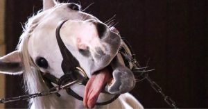 Thumbnail of post image 134