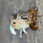 Thumbnail of new posts 128