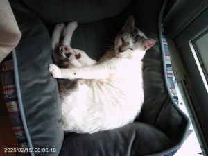 Thumbnail of post image 198