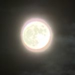 Thumbnail of new posts 134