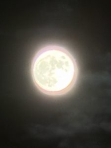 Thumbnail of post image 045