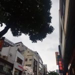 Thumbnail of new posts 096