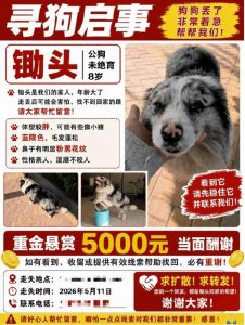 Thumbnail of post image 063
