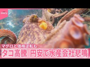 Thumbnail of post image 025
